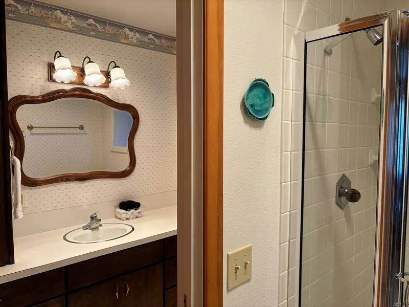 Going Rogue, Full bathroom 3 image 1