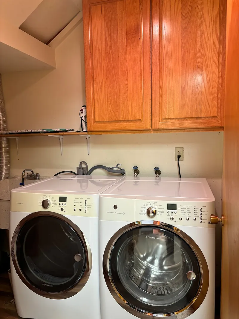 Going Rogue, Laundry area image 1