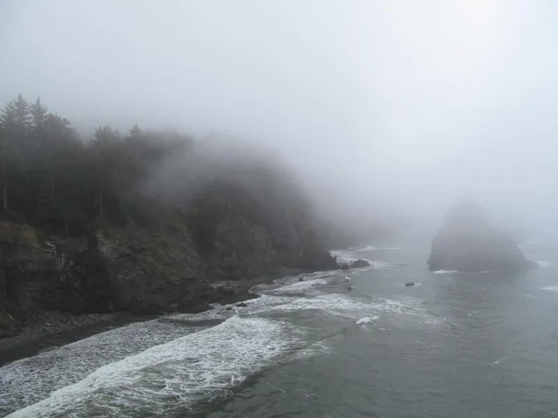 Fog drifting around forested cliffs above the ocean in the Samuel H. Boardman corridor