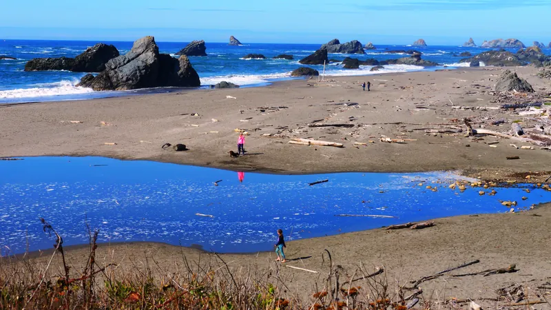 Sandy beach, tidal creek, and offshore rocks at Harris Beach State Park