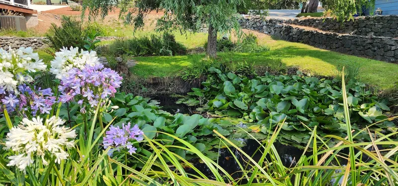 The Lily Pond House, Backyard image 1