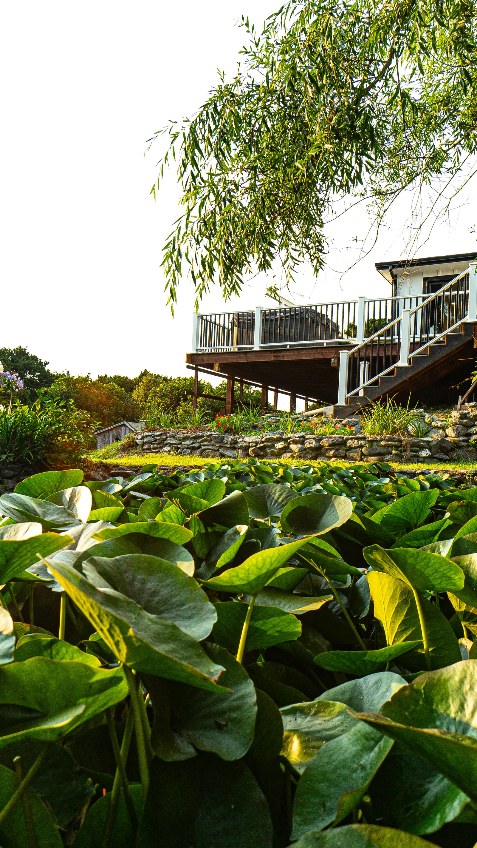 The Lily Pond House, property photo 70