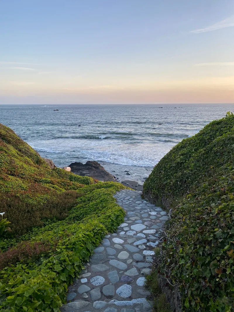 Ocean Mist Beach House, property photo 33