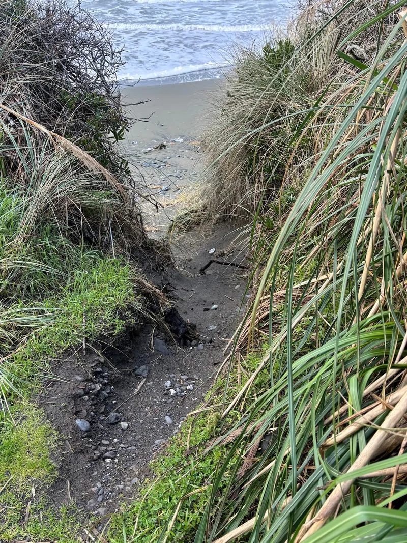Queen Bee of Gold Beach, Additional photos image 6